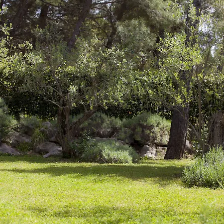 Bluesun Village Alan Hotel 3*