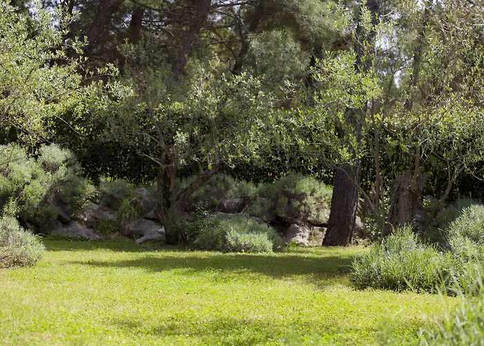 Bluesun Village Alan Szálloda 3*